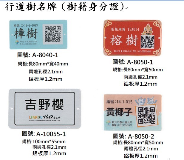 认养铭版推广护大王椰子树